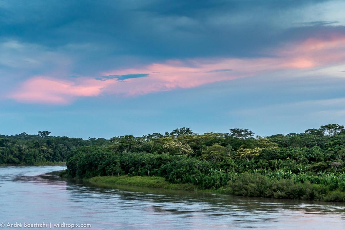 فيلا Casa Amazonas بويرتو مالدونادو المظهر الخارجي الصورة