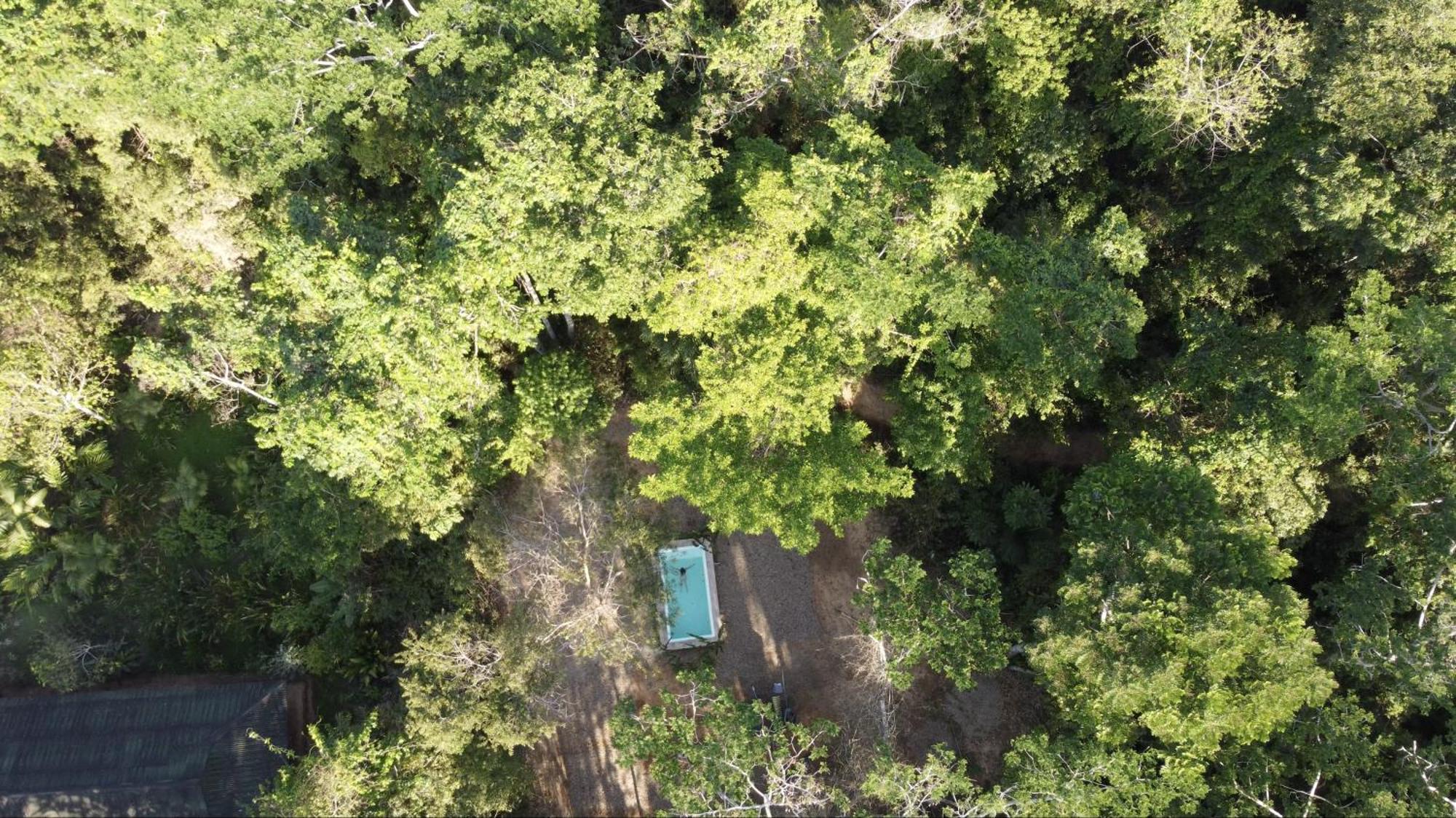 فيلا Casa Amazonas بويرتو مالدونادو المظهر الخارجي الصورة
