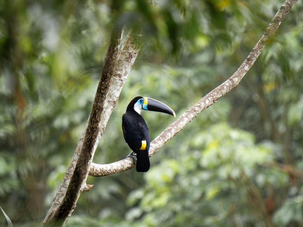 فيلا Casa Amazonas بويرتو مالدونادو المظهر الخارجي الصورة