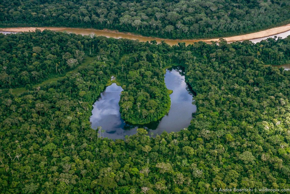 فيلا Casa Amazonas بويرتو مالدونادو المظهر الخارجي الصورة