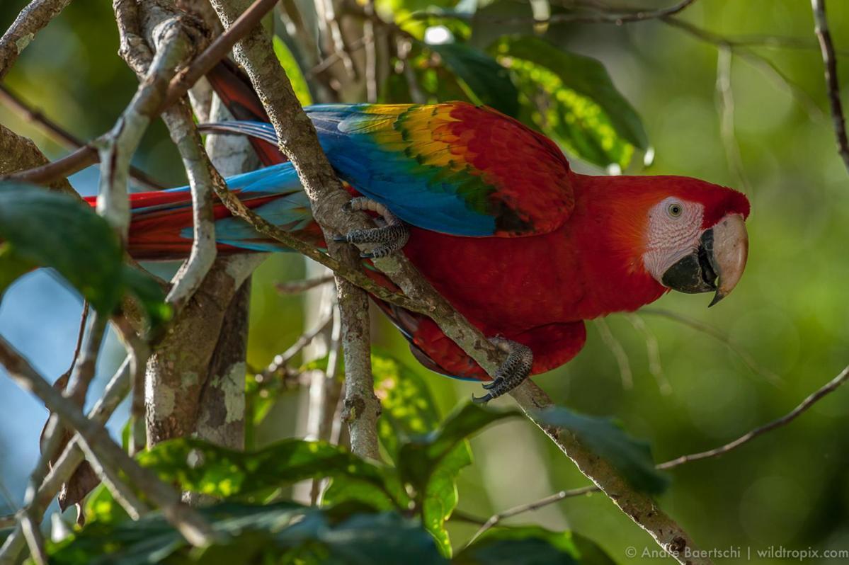 فيلا Casa Amazonas بويرتو مالدونادو المظهر الخارجي الصورة